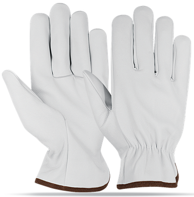 Gloves PROCERA X-DRIVER WINTER