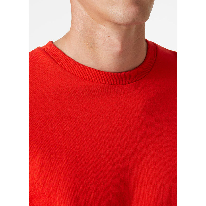 Load image into Gallery viewer, Sweatshirt HELLY HANSEN 79208
