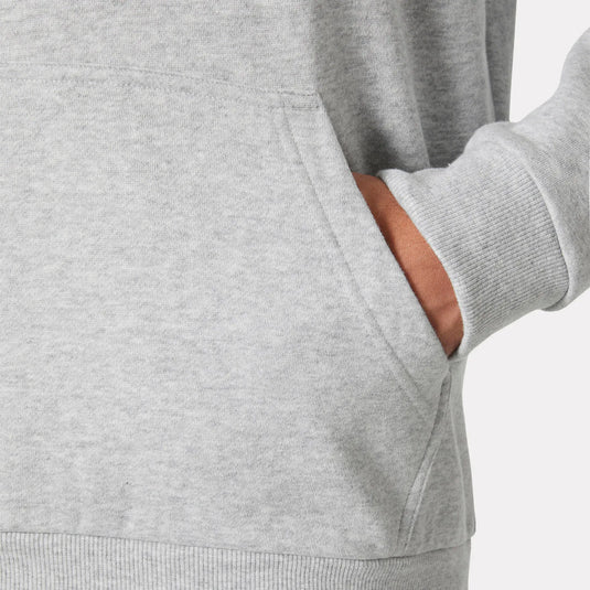 Hoodie HELLY HANSEN Classic Logo 79284
