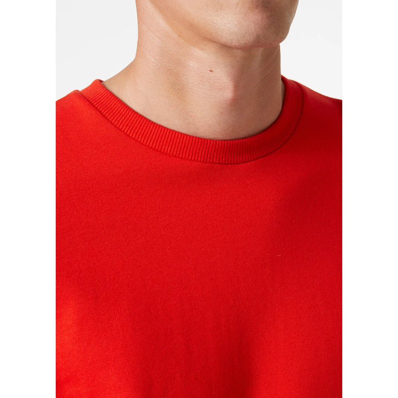 Load image into Gallery viewer, Sweatshirt HELLY HANSEN Classic 79324

