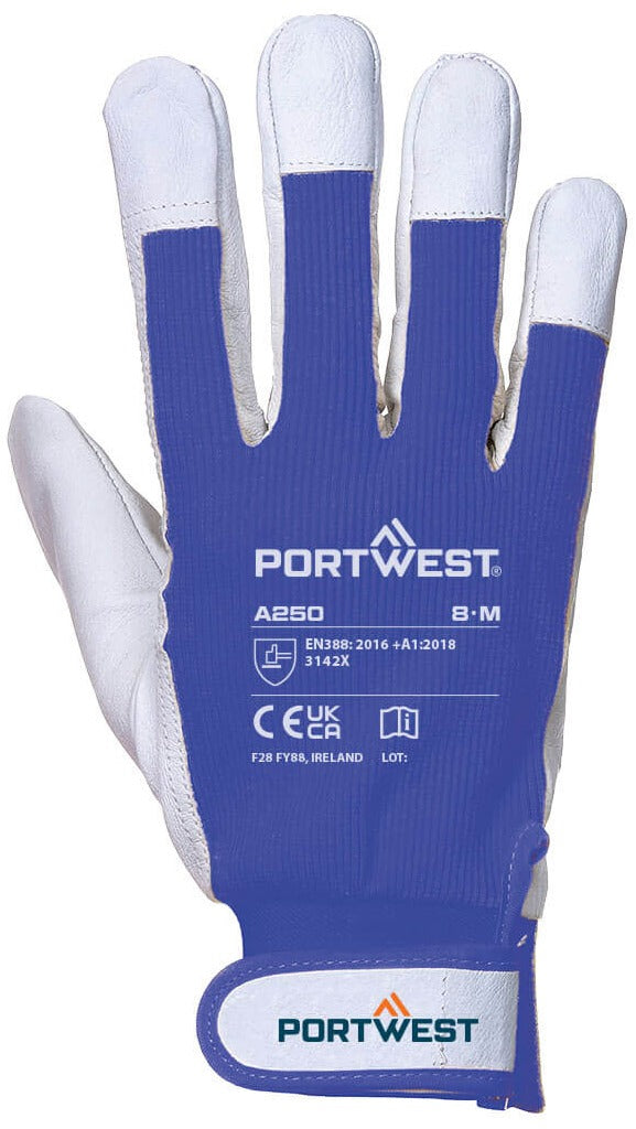 Load image into Gallery viewer, Gloves PORTWEST A250
