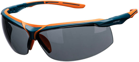 Glasses PORTWEST PS13