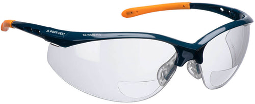 Glasses PORTWEST PS25